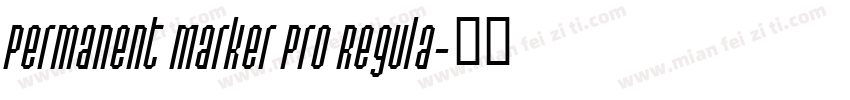 Permanent Marker Pro Regula字体转换